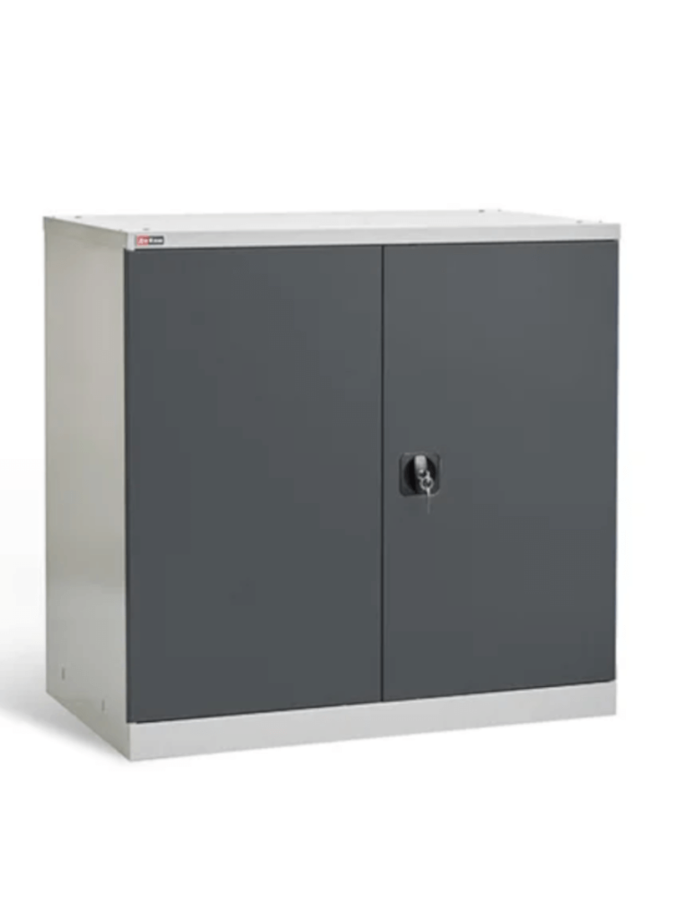 Шкаф инструментальный ДиКом ВЛ-051-02  Шкаф инструментальный ДиКом ВЛ-051-02