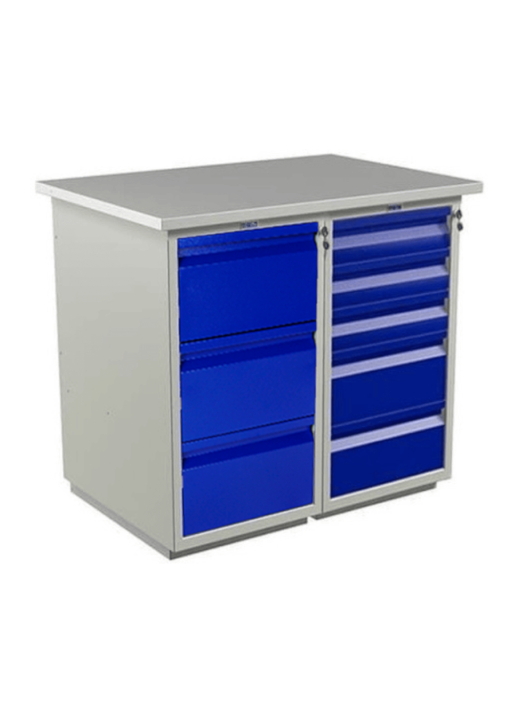 Верстак Практик Profi WT100.WD3/WD5.000 