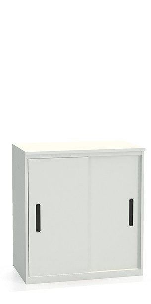 Шкаф-купе архивный ALS-8896 Шкаф-купе архивный ALS-8896